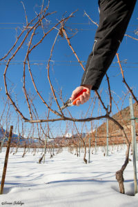 Taille Cave Eddy Dumoulin