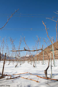 Taille Cave Eddy Dumoulin