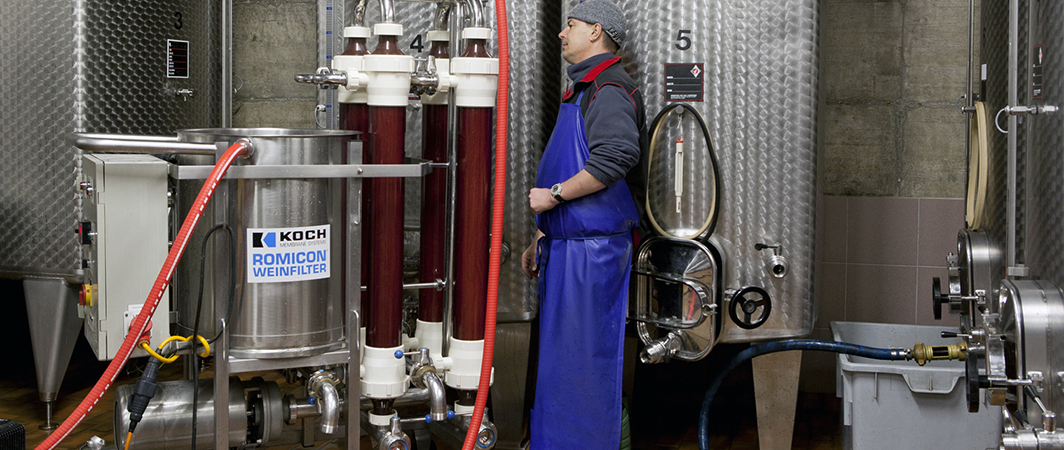 De la vigne à la bouteille Cave Eddy Dumoulin