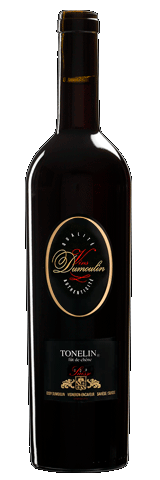 Tonelin Cave Eddy Dumoulin